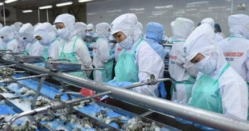 FMC đi qua tháng 9 không chỉ "một màu"