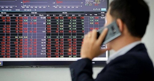 1,2 tỷ cổ phiếu BCG và TCD bị đình chỉ, ngày “hồi sinh” dần lộ diện