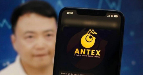 Shark Bình bị tố là người chỉ đạo rút thanh khoản, khiến AntEx sập