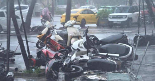 Lo cơn bão mới, Thủ tướng ra lệnh thần tốc khắc phục thiệt hại bão Bualoi