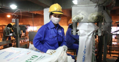 Giá phân bón sẽ đảo chiều giảm trong năm 2026?