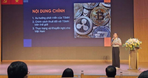 Chuyên gia nói về lùm xùm liên quan dự án Antex của Shark Bình