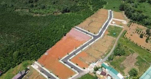 Khởi tố Chủ tịch Tập đoàn Sam Group