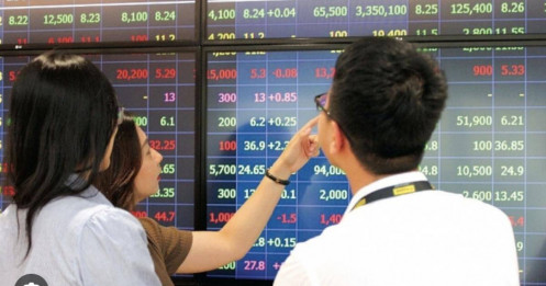 7 cổ phiếu có nền tảng cơ bản tốt và triển vọng kết quả quý 3 khả quan