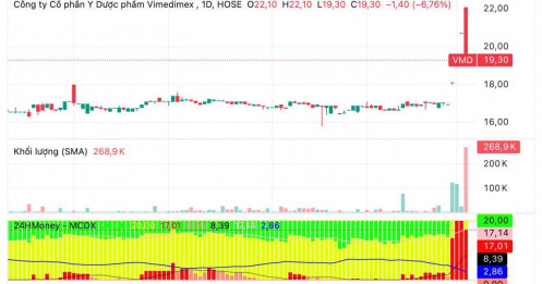 Cổ phiếu doanh nghiệp liên quan tới sàn tiền số 10.000 tỷ đồng 'nhận án' ngừng giao dịch sau 3 phiên tăng trần liên tục