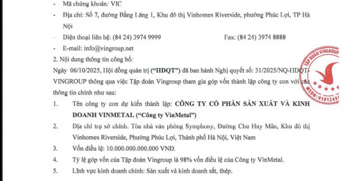 Vingroup lập công ty thép VinMetal vốn 10.000 tỷ đồng: Làm thép đặc chủng cho xe điện