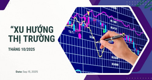 Xu hướng thị trường – tháng 10/2025