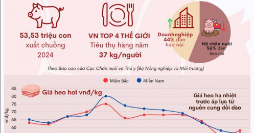 Đại chiến ngành heo tỷ đô