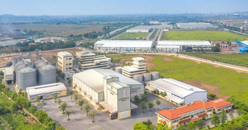 DBC – Tái cấu trúc: cơ hội đầu tư từ sự thay đổi cấu trúc ngành heo