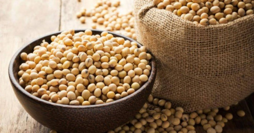 Thị trường nông sản Mỹ giằng co dữ liệu, chờ cú bẻ lái từ nhu cầu Trung Quốc