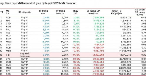 Cơ cấu danh mục cổ phiếu 'kim cương' tháng 10, quỹ 13.200 tỷ đồng mua mạnh ACB, FPT, CTD, KDH...