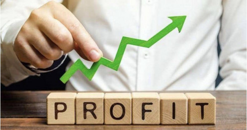 Bất ngờ lợi nhuận quý 3: Chứng khoán, BĐS, chăn nuôi… cùng báo lãi lớn