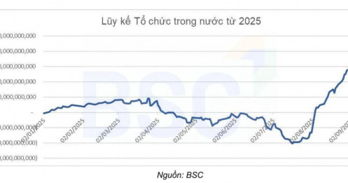 Dòng tiền mới đang ‘cứu sóng’ VnIndex giữa lúc khối ngoại rút ròng?