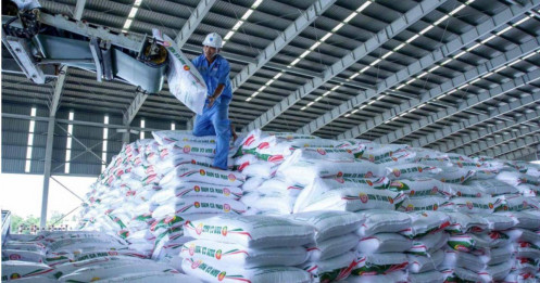 Loạt DN đầu tiên hé lộ kết quả kinh doanh quý 3