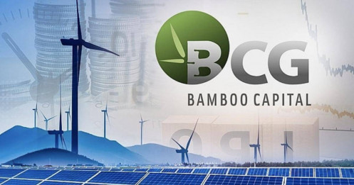 Nhóm Bamboo Capital được giải cứu