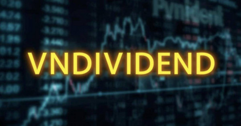 Chứng khoán Việt Nam lần đầu có bộ chỉ số cổ tức: VNDIVIDEND chính thức trình làng