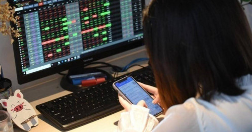 Thị phần và lợi nhuận các công ty chứng khoán ra sao trong quý III/2025?