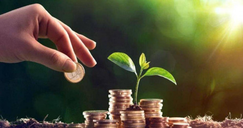 Lịch trả cổ tức bằng tiền của 6 doanh nghiệp, cao nhất lên tới 150%