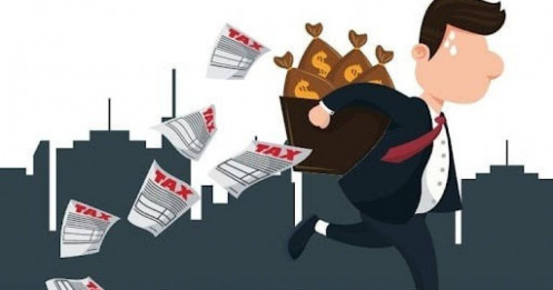 Lật tẩy thủ đoạn trốn thuế qua vụ Hoàng Hường, TikToker Cún Bông