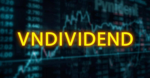 Lần đầu tiên chứng khoán Việt Nam có bộ chỉ số gồm các cổ phiếu tăng trưởng chi trả cổ tức VNDIVIDEND