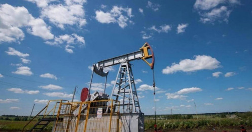 Giá xăng dầu hôm nay 8/10/2025: OPEC+ thận trọng trước dự báo dư cung dầu toàn cầu