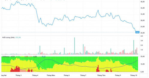 Cổ phiếu liên tục 'dò đáy', điều gì đang xảy ra tại SGR?