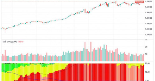 VN-Index lập kỷ lục mới sau tin vui nâng hạng