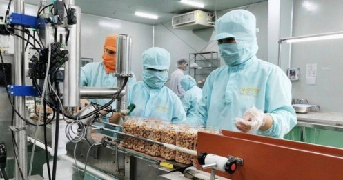 Thủ tướng yêu cầu doanh nghiệp Nhà nước báo cáo kết quả hoạt động 3 quý đầu năm