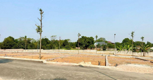 Vì sao đất nền được dự báo khởi sắc mạnh từ quý IV/2025?
