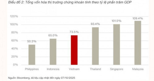 TTCK Việt cần phải làm gì để đạt mức 120% GDP vào năm 2030