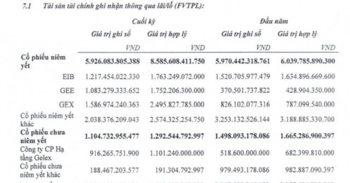 Chứng khoán VIX đang nắm gì trong danh mục?