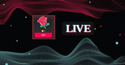 Ham hoa hồng trên TikTok, người đàn ông mất hơn 1,7 tỉ đồng