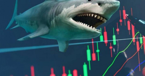 Soi loạt cổ phiếu có thể lọt "tầm ngắm" của các cá mập tổng quy mô 15.000 tỷ ngay trong tháng 10