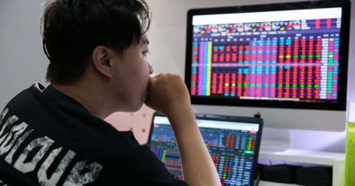 70% nhà đầu tư thắc mắc: Chứng khoán còn rủi ro có “cú sập” như năm 2022?