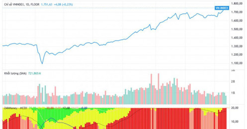 VN-Index vượt 1.750 điểm nhờ “kéo trụ”: Có phải tín hiệu đáng lo?