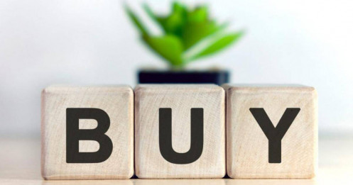 MBS bất ngờ “xả sạch” danh mục cổ phiếu hơn 500 tỷ trong quý III – chuyện gì đang xảy ra?