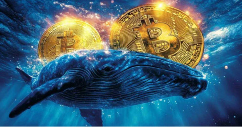 ‘Cá voi’ tiền số bán khống Bitcoin, kiếm gọn 160 triệu USD ngay trước cú sập lịch sử