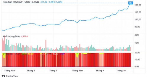 Bất ngờ với cách tỷ phú Phạm Nhật Vượng "bỏ túi" hơn 2 tỷ USD chỉ trong buổi sáng