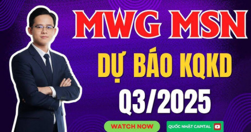 Cổ phiếu MWG và MSN – Dự báo kết quả kinh doanh quý 3/2025