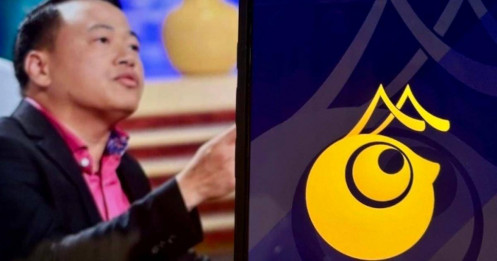 Dự án tiền số AntEx liên quan Shark Bình hoạt động ra sao?