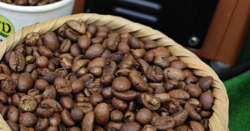 Giá cà phê hôm nay 15-10: Arabica tăng dữ dội