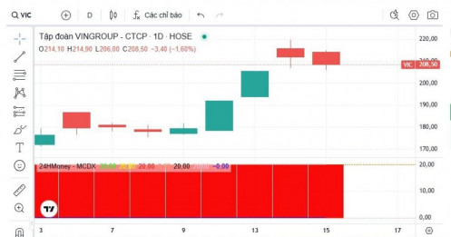 Vì sao cổ phiếu VIC liên tục tăng cao?
