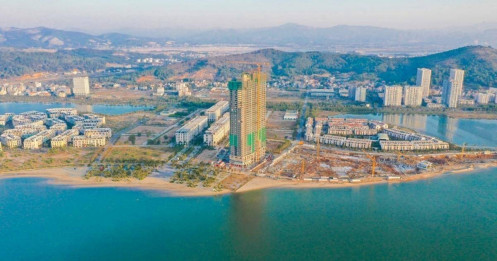 Vì sao nhà đầu tư ngoại mạnh tay gom TAL?