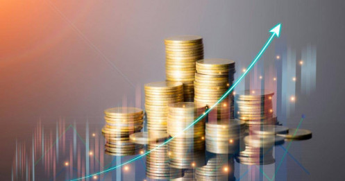 Sự khác biệt giữa “lý thuyết đầu tư giá trị” và “đầu tư tăng trưởng”