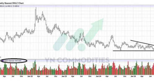Lúa mì dẫn sóng nhờ dòng tiền đầu cơ, cà phê xác nhận bứt phá kỹ thuật – Đậu tương và ca cao tiếp tục chịu sức ép cung cầu