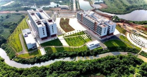 Bắt đầu sáp nhập các trường công lập