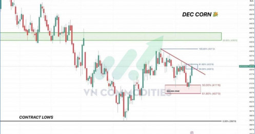 Ngô giằng co tại vùng kháng cự, ca cao và cà phê xuất hiện tín hiệu hồi phục