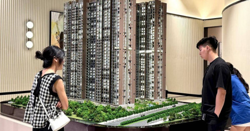 "Đổ bộ" phương Nam:"Cò" Bắc tìm miền đất hứa hay chốn chôn thân?