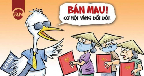 “Cò” đất phía Bắc ồ ạt Nam tiến: Cơn sóng cơ hội hay bẫy tử thần?