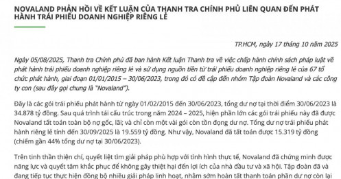 Thanh tra Chính phủ chuyển hồ sơ Novaland cho cơ quan điều tra, 'khổ chủ' lên tiếng